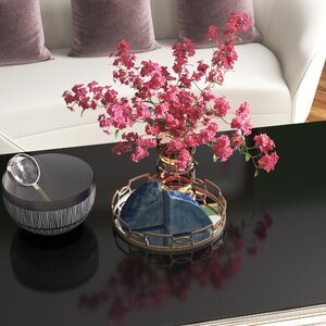 Wayfair Decorative Trays You Ll Love In 2023   Vanity 